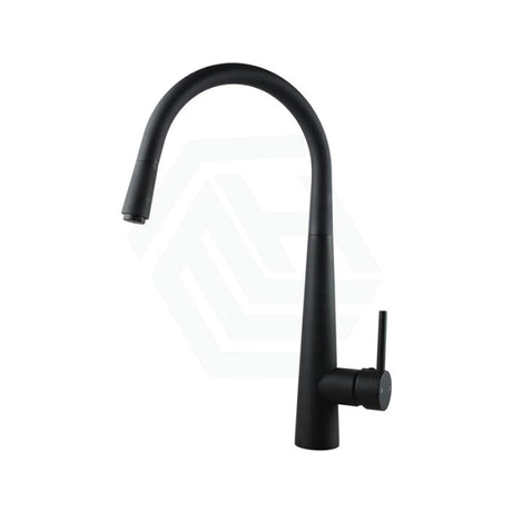 Euro Round Electroplated Black 360° Swivel Pull Out Kitchen Sink Mixer Tap Mixers