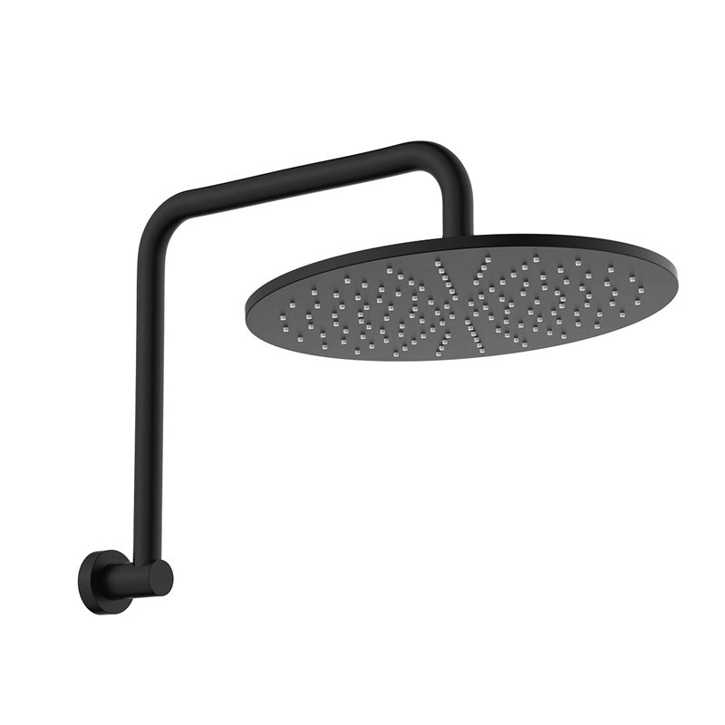 Fienza Empire Slim Gooseneck Shower Arm Set Stainless Steel Variant Colour Available