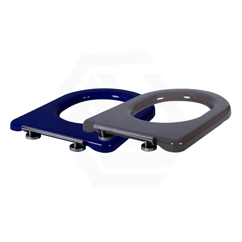 Lukka Hadden 800x360x865mm Rimless Flush Back To Wall Care Toilet Suite with Blue/Grey Toilet Seat & Flush Button