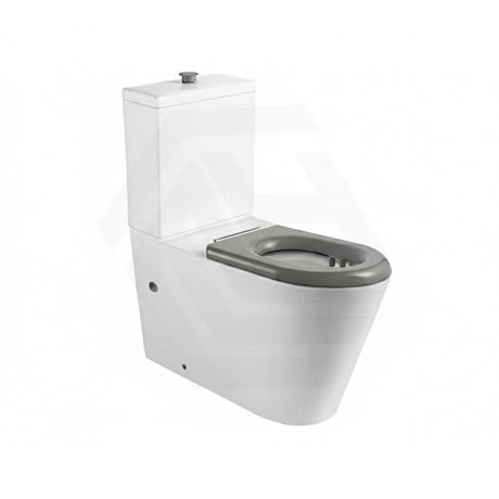 Lukka Hadden 800x360x865mm Rimless Flush Back To Wall Care Toilet Suite with Blue/Grey Toilet Seat & Flush Button