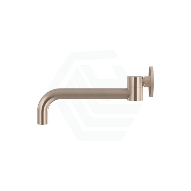 Meir Round Solid Brass Swivel Wall Spout Variant Colour Available Spouts