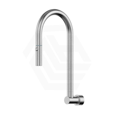 Stainless Steel Retractable Swivel Wall Spout Satin