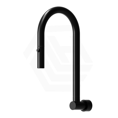 Stainless Steel Retractable Swivel Wall Spout Matt Black