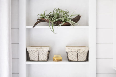 Built-in bathroom shelving with decorative plant, woven storage baskets, and minimalist white cabinetry.
