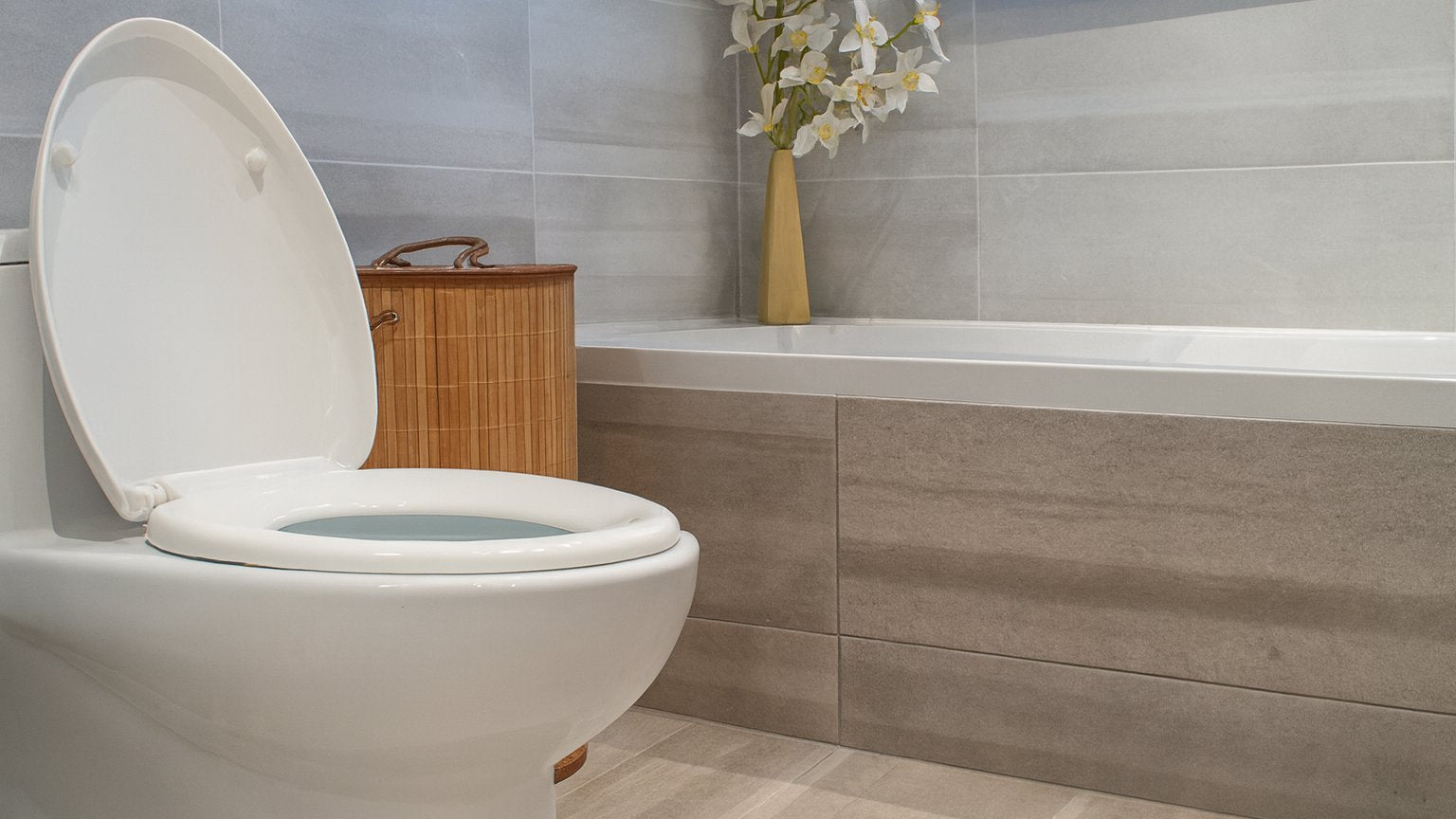 Modern bathroom with toilet and bathtub