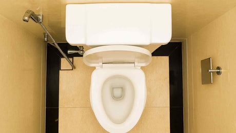 Top view of modern toilet with handheld bidet