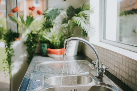 Stainless steel kitchen sink with running water and chrome mixer tap in a bright, plant-filled kitchen.