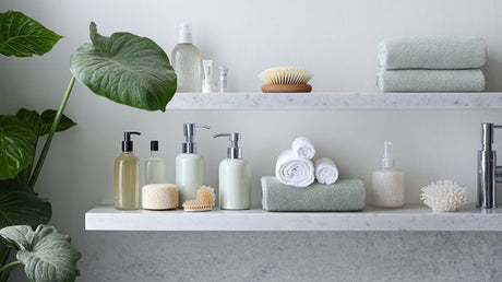 Bathroom shelves with folded towels, skincare bottles, brushes, and leafy plant