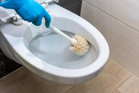 gloved hand scrubbing toilet bowl with brush and cleaner foam inside bathroom