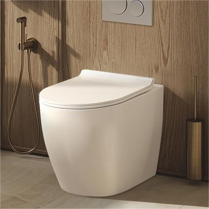Modern back to wall toilet suite