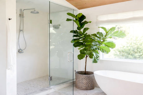 Bright modern bathroom featuring a frameless glass shower, a fiddle-leaf fig tree in a woven basket, and a sleek freestanding bathtub.