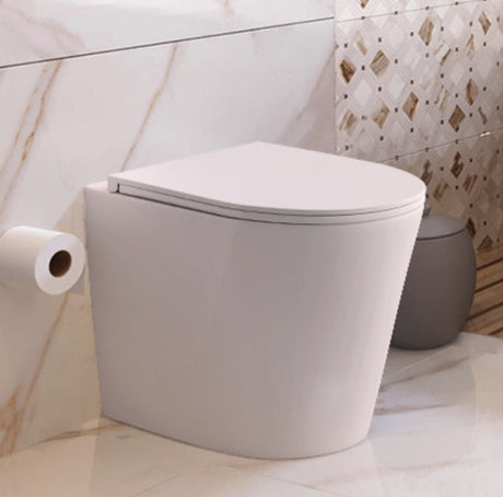 Modern rimless back to wall toilet in a bathroom