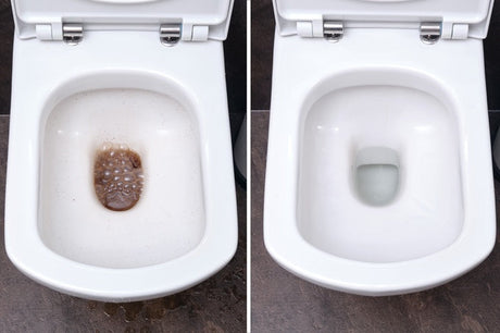 Before and after comparison of a stained toilet bowl versus a clean white one