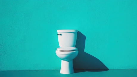 White ceramic toilet with closed seat against a bright teal wall