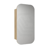 450x900mm Aulic Vienna Squircle Pencil Edge Mirror Wall Hung Shaving Cabinet Mia