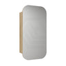 450x900mm Aulic Vienna Squircle Pencil Edge Mirror Wall Hung Shaving Cabinet Mia