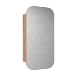 450x900mm Aulic Vienna Squircle Pencil Edge Mirror Wall Hung Shaving Cabinet Carita
