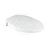 480X370Mm Round Toilet Cover Seat With Posterior Wash And Self Nozzle Cleaning For Toilet Smart