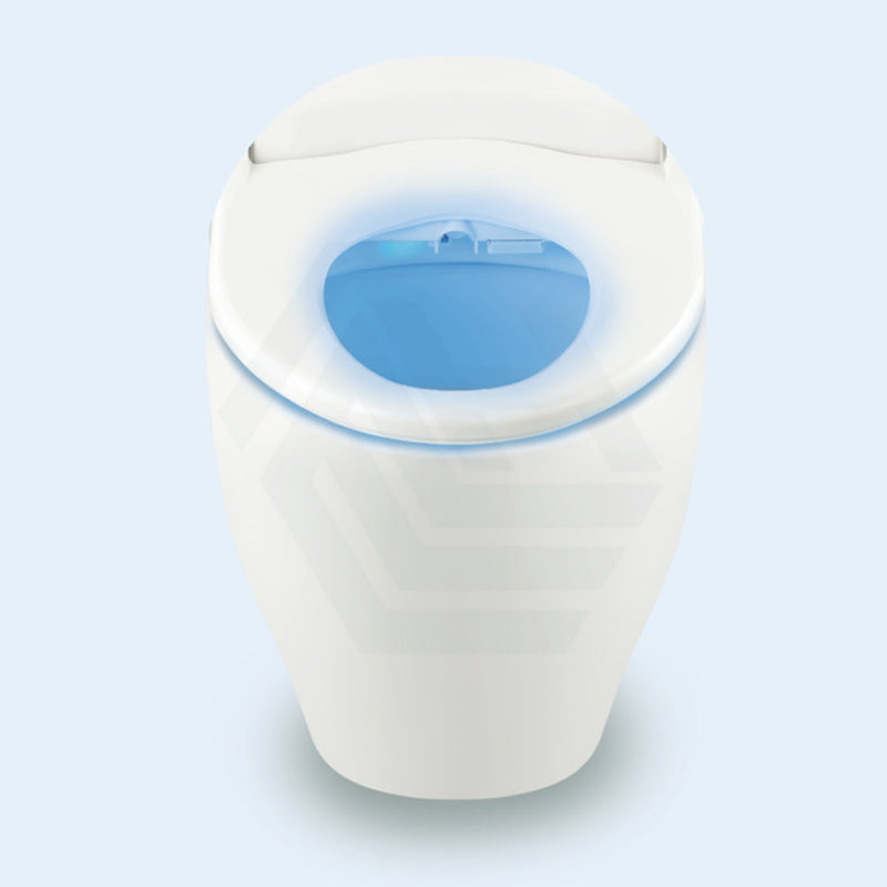 496/528x406mm Intelligent Electric Toilet Cover Seat with Auto Washer and Air Dryer for toilet