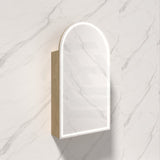 500X900Mm Canterbury Led Mirror Arch Shaving Cabinet Carita Finish Frameless Touchless Sensor