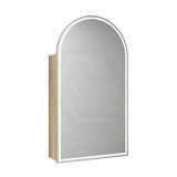 500X900Mm Canterbury Led Mirror Arch Shaving Cabinet Carita Finish Frameless Touchless Sensor
