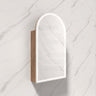 500X900Mm Canterbury Led Mirror Arch Shaving Cabinet Mia Finish Frameless Touchless Sensor Frontlit