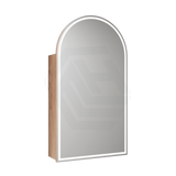 500X900Mm Canterbury Led Mirror Arch Shaving Cabinet Mia Finish Frameless Touchless Sensor Frontlit