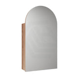 500X900Mm Canterbury Wall Hung Arch Shaving Mirror Cabinet Mia Finish For Bathroom Cabinets