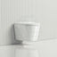 520X360X325Mm Avis Wall Hung Toilet Pan With Rimless Flush For Bathroom Pans