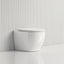 570X360X400Mm Bathroom Toilet Wall Floor Faced Pan With Rimless Vortex Flushing Technology Pans