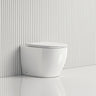 570X360X400Mm Bathroom Toilet Wall Floor Faced Pan With Rimless Vortex Flushing Technology Pans
