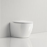 570X360X400Mm Bathroom Toilet Wall Floor Faced Pan With Rimless Vortex Flushing Technology Pans