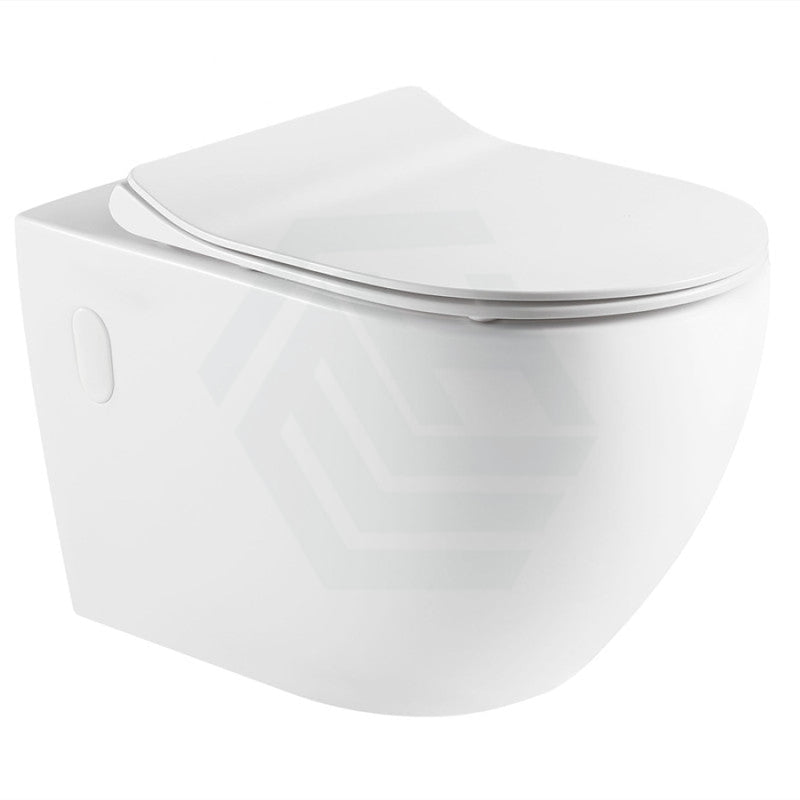 Raul 570X360X400Mm Bathroom Toilet Wall Floor Faced Pan With Rimless Vortex Flushing Technology