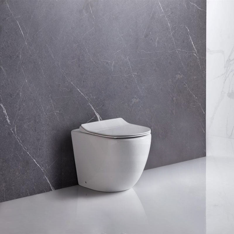 Raul 570X360X400Mm Bathroom Toilet Wall Floor Faced Pan With Rimless Vortex Flushing Technology
