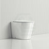 580X360X420Mm Bathroom Toilet Floor Pan Rimless Flushing Comfort Height Ceramic Pans