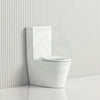 595X335X770Mm Wall Faced Toilet Suite With Rimless Pan For Junior Special Care Needs