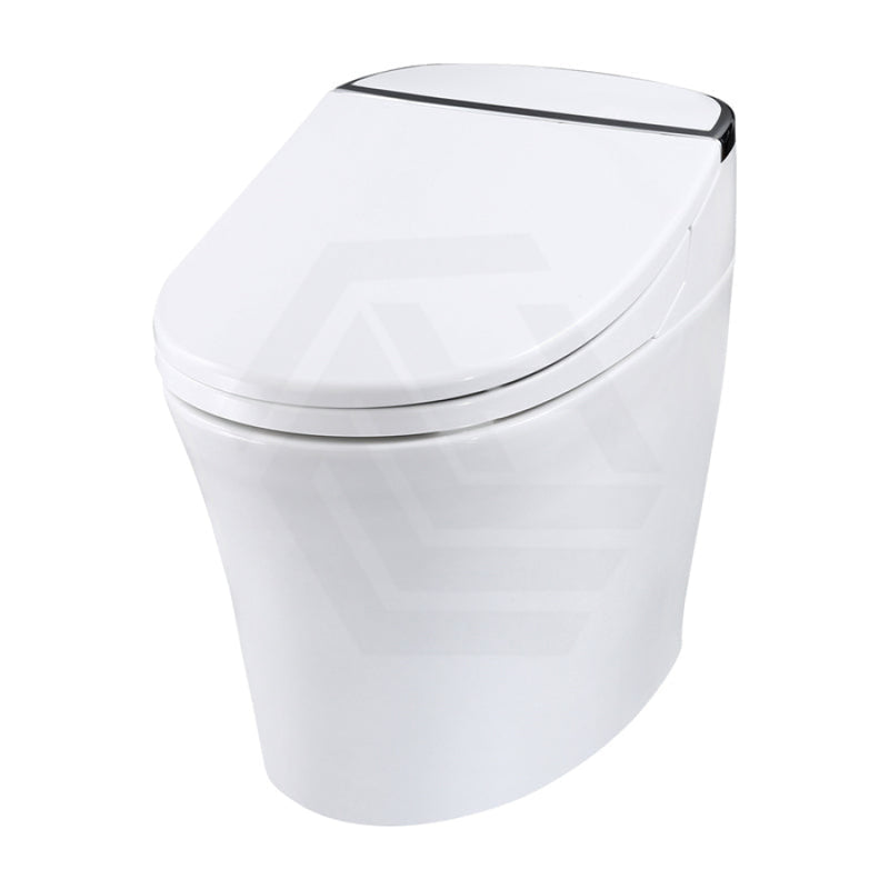 660X405X535Mm Ceramic Intelligent Electric Smart Toilet Automatic Inbuild Tank Instant Heating
