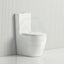 665X380X845Mm Bathroom Rimless Tornado Back To Wall Toilet Suite Ceramic Gloss White Suites