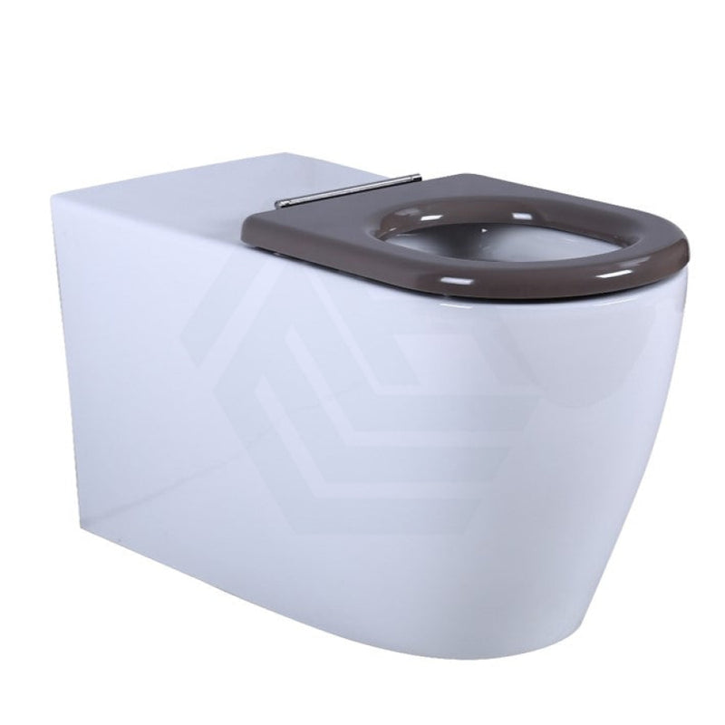 795X355X425Mm Asta Special Care Tornado Flush Toilet Pan Back To Wall S Trap P Single Flap Seat