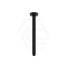 Fienza 300Mm Stainless Steel Round Matt Black Ceiling Shower Dropper Arms