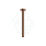 Fienza 300Mm Stainless Steel Round Brushed Copper Ceiling Shower Dropper Arms