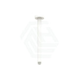 Fienza 300Mm Stainless Steel Round Matt White Ceiling Shower Dropper Arms