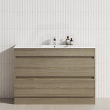 2-Drawer 600/750/900/1200mm Freestanding Bathroom Vanity Kickboard Single Multi-Colour Cabinet Only