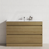 2-Drawer 600/750/900/1200mm Freestanding Bathroom Vanity Kickboard Single Multi-Colour Cabinet Only