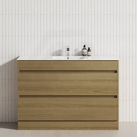 2-Drawer 600/750/900/1200mm Freestanding Bathroom Vanity Kickboard Single Multi-Colour Cabinet Only