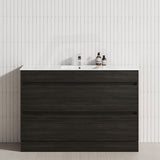 2-Drawer 600/750/900/1200mm Freestanding Bathroom Vanity Kickboard Single Multi-Colour Cabinet Only