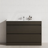 2-Drawer 600/750/900/1200mm Freestanding Bathroom Vanity Kickboard Single Multi-Colour Cabinet Only