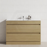 2-Drawer 600/750/900/1200mm Freestanding Bathroom Vanity Kickboard Single Multi-Colour Cabinet Only
