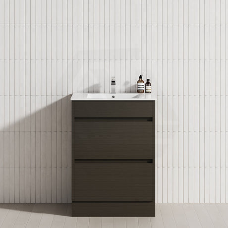 2-Drawer 600/750/900/1200mm Freestanding Bathroom Vanity Kickboard Single Multi-Colour Cabinet Only