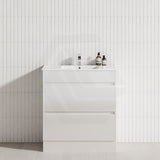 2-Drawer 600/750/900/1200mm Freestanding Bathroom Vanity Kickboard Single Multi-Colour Cabinet Only